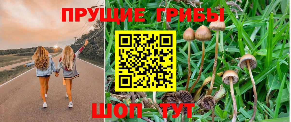 Псилоцибиновые грибы GOLDEN TEACHER  Вход с VPN  Лениногорск  Галлюциногенные грибы GOLDEN TEACHER 