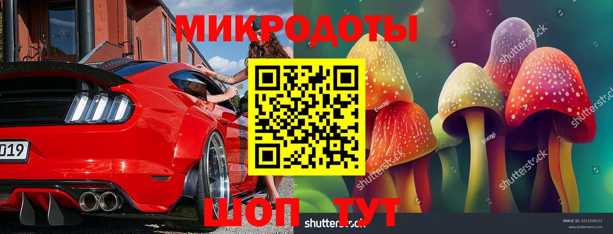 Псилоцибиновые грибы Psilocybe Лениногорск